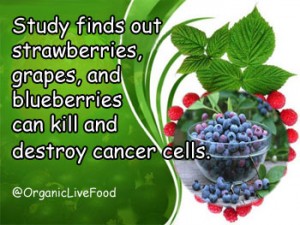 Blueberries for cancer