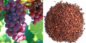 Grape Seed Extract for cancer