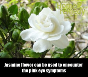 Jasmine for pink eye
