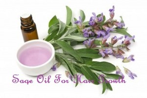 Sage oil for hair