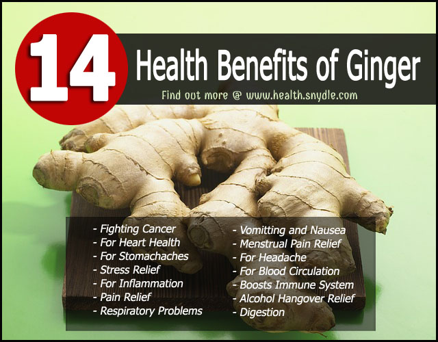 14 Reasons Why You Need Ginger 5311