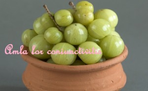 Amla for conjunctivitis