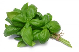 Basil side effects