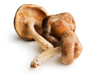 Mushrooms for cancer