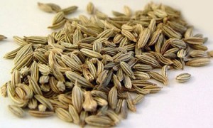 fennel seeds for conjunctivitis