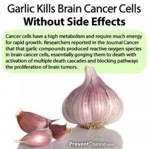 garlic for cancer