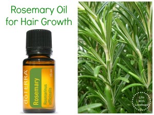 Rosemary oil for hair growth