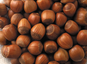 hazelnuts