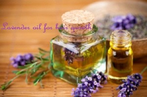 lavender oil for hair
